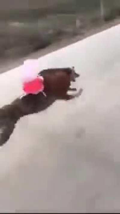 Me running away from the FBI after stealing an FNAF movie poster: