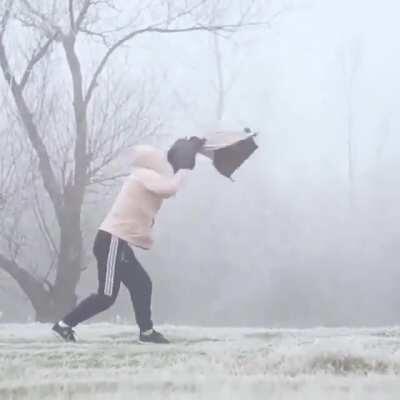 Messing with your brain