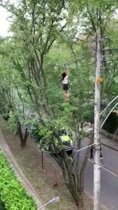 Playing on power lines