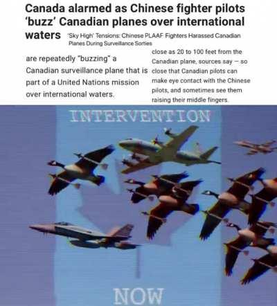 3,000 Geese Escorts of the RCAF