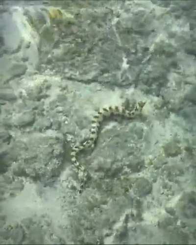 Unbelievable, wait until the end