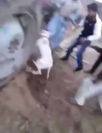 Holding an improvised revolving axle while breaking up a dog fight