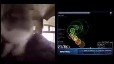 Look at my cat goooo