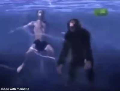 Stupid human propaganda 🤬🙉