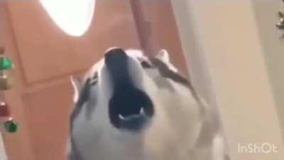 Singer and accompaniment