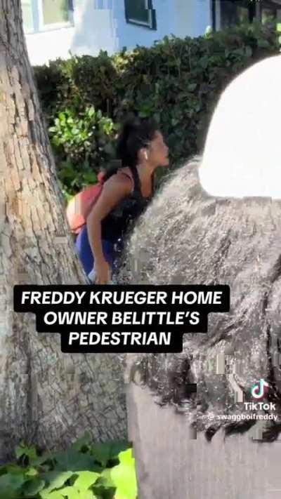 Nightmare on Elm Street