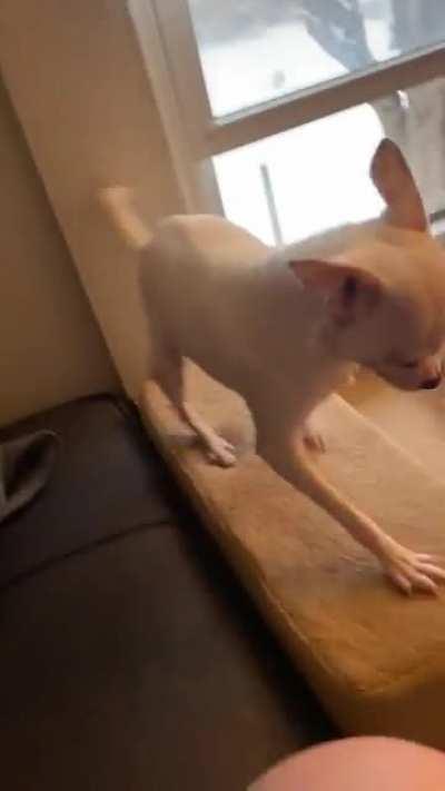 First Time Seeing Snow.