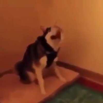 Jhin 4th shot be like