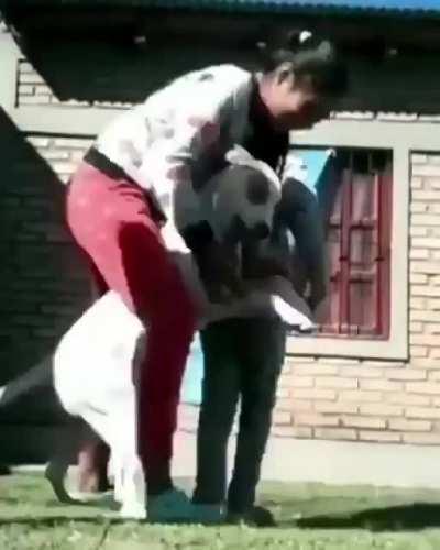 My perro es un lokiyo 🥰😂