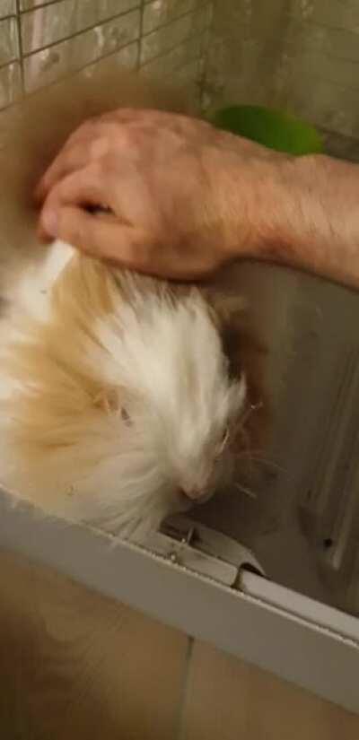 I think she likes me