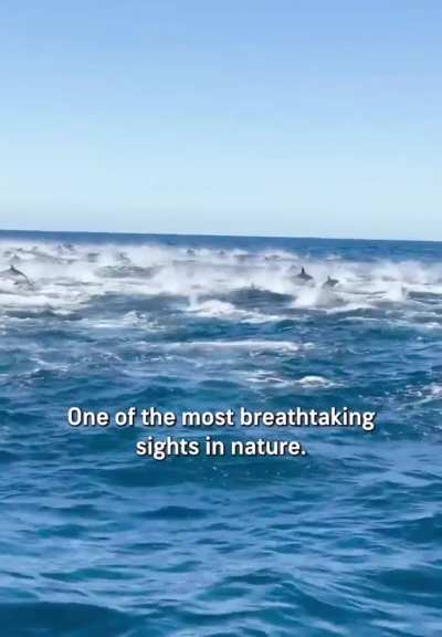 Nature is so awesome