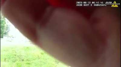 [LFO] Man Attacks Policewoman with a Hammer During Welfare Check (Volume Warning!)