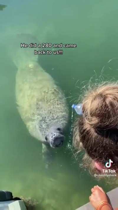 Giving a Live Submarine a Drink