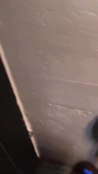 Caught On Camera! Trashy Porn Real Couple Gives Bar Bathroom Blowjob! Deepthroat & Exhibitionism! You Won't Believe What Happens Next!