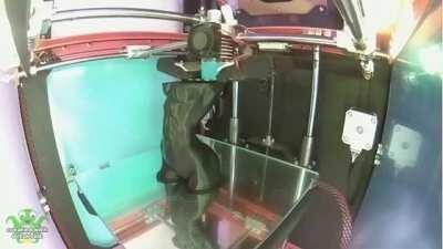 Печатаю предметы искусства.