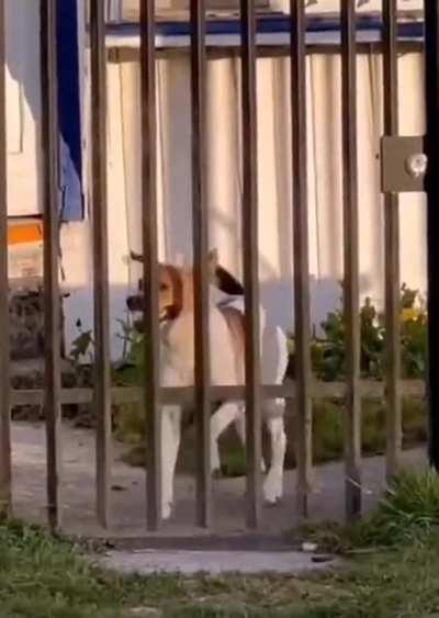 Hey friends its friday