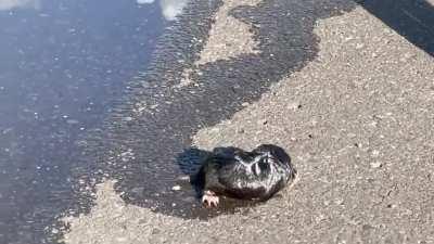 Alter leute, sowas habt ihr im leben noch nicht gesehen!