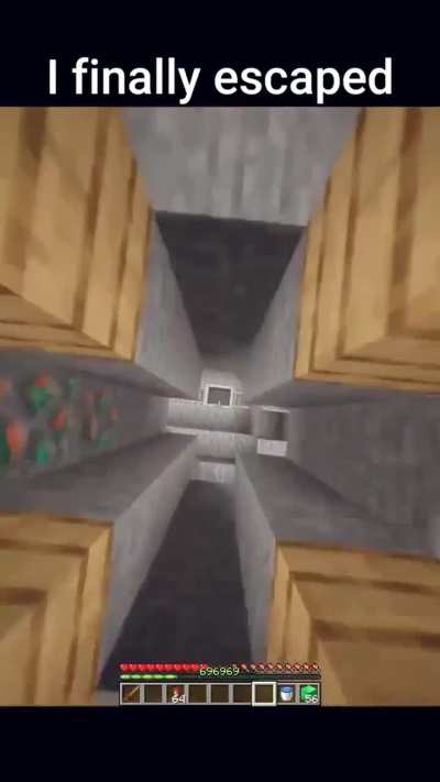 POV: Villagers the second they gain free will