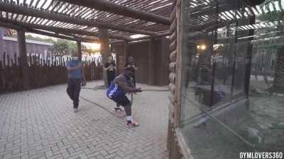 Bodybuilder playing tug-of-war with a lion
