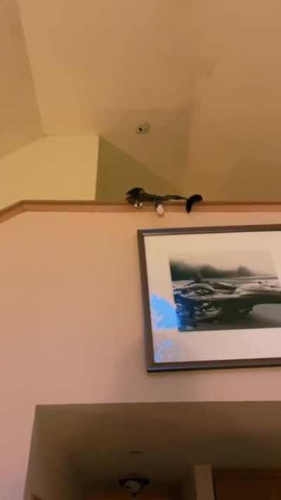 Just throw anything at me