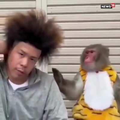 Absolutely flabbergasted 