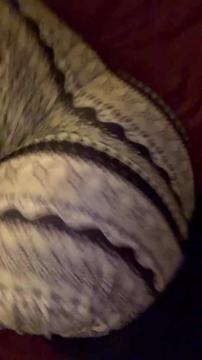 lil twerk in flare leggings 🤍