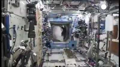 This is what happened, when astronaut Mark Kelly put on a full gorilla suit aboard the International Space Station, without telling anyone. (Credit: Todd Spence)