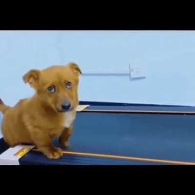 Да бегаю я, бегаю.