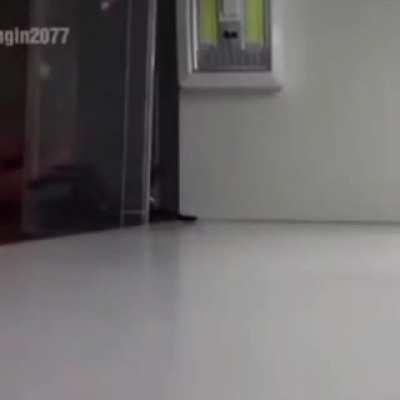 BeelcitosMemes - Video #2031