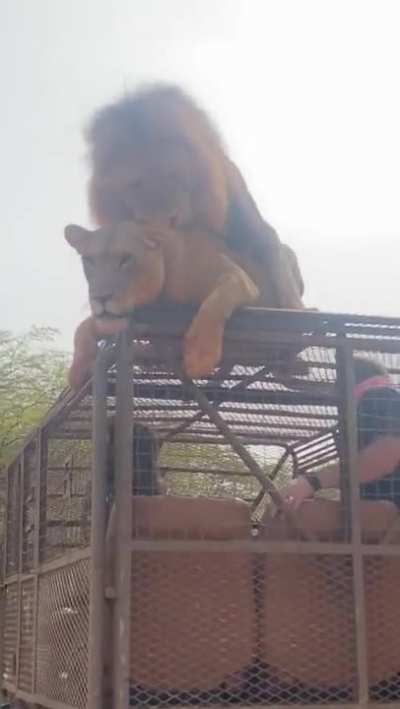 Big camer😫💧💧