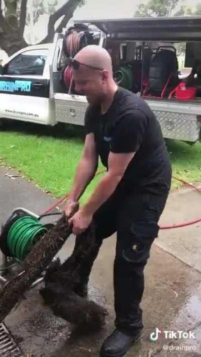 That's a lot of hair