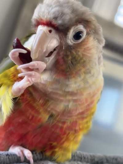 How she eats cranberries