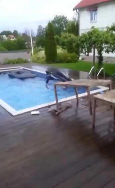 WCGW when you take the cheap route with a diving board