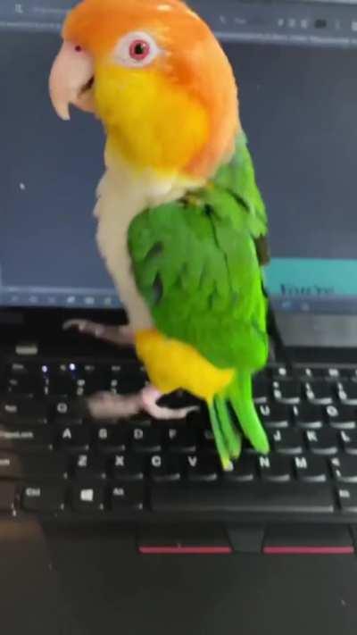 Drones stealing our jobs