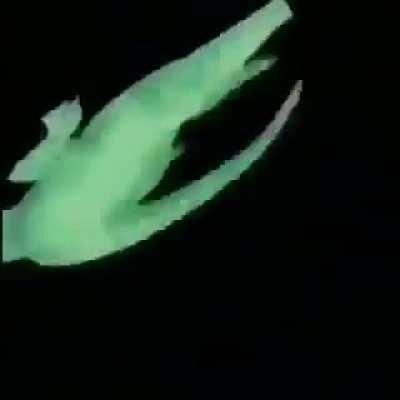 SPIIiIiiiiIiIiIIIINNN