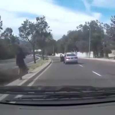 Casually Stepping Out of The Moving Vehicle