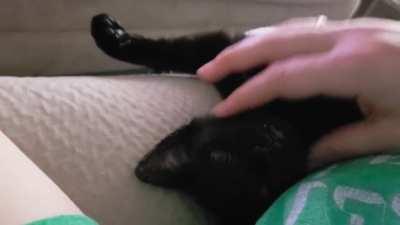 Was told yall would enjoy this conversation I had with my small void 😸