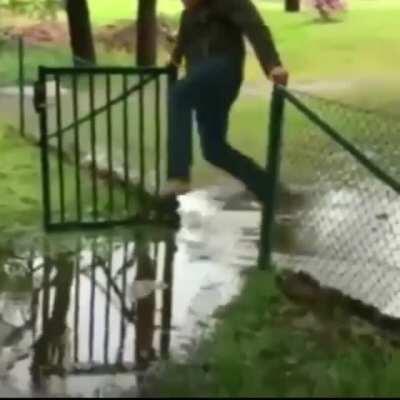 Woodszin - Video #9328