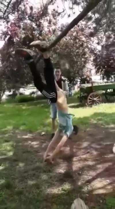 WCGW lollygagging on a branch