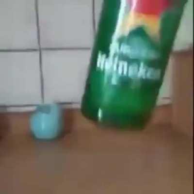 German bros, what is your response?