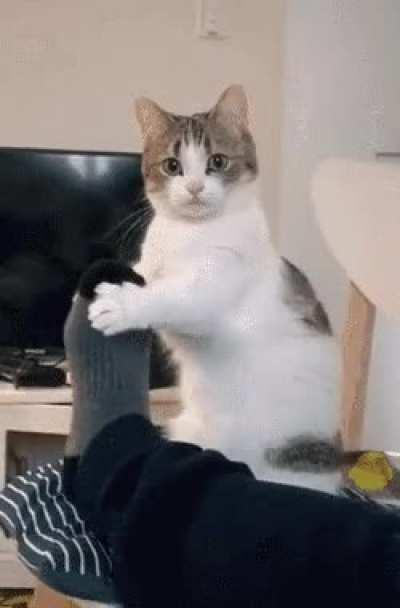 Any idea why he’s doing this