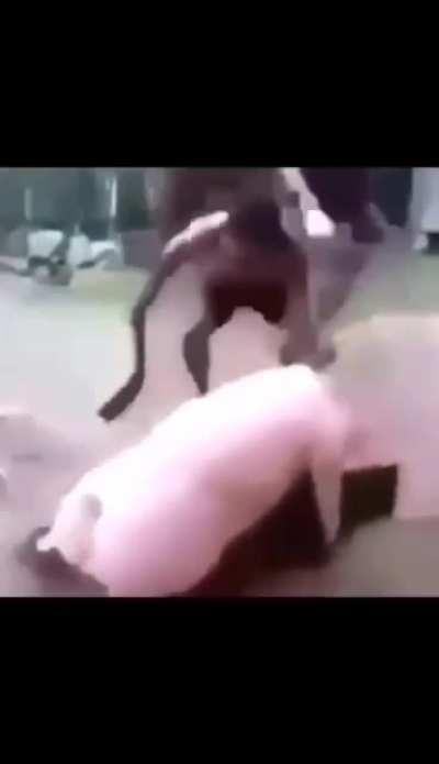 Cursed_peppa_pig [NSFL]
