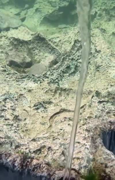 Can't unsee the waterfall