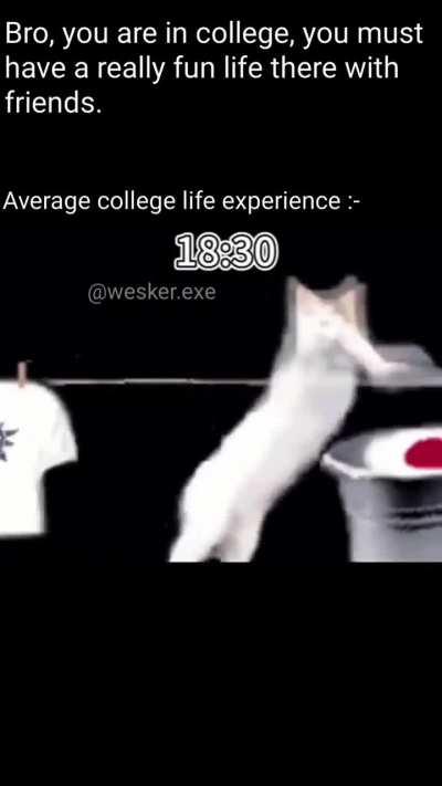 Average college experience 