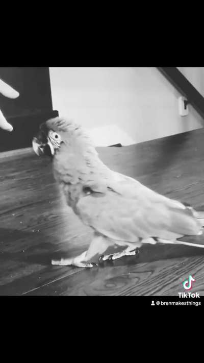 Oscar getting abducted 😟🛸