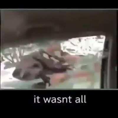 It wasn't all 👊🚗