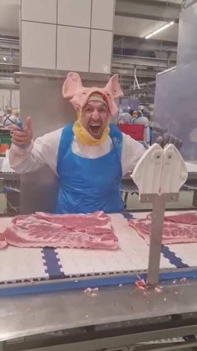 WAGTHROman la munca in Germania