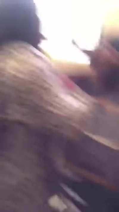 One phrase is enough to start this chaos.