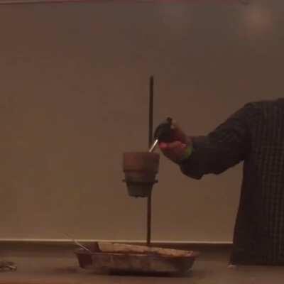 School Shooting is wayyyyy overrated but hey they were having a blast.