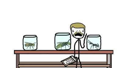 Ah yes, the bullet ant